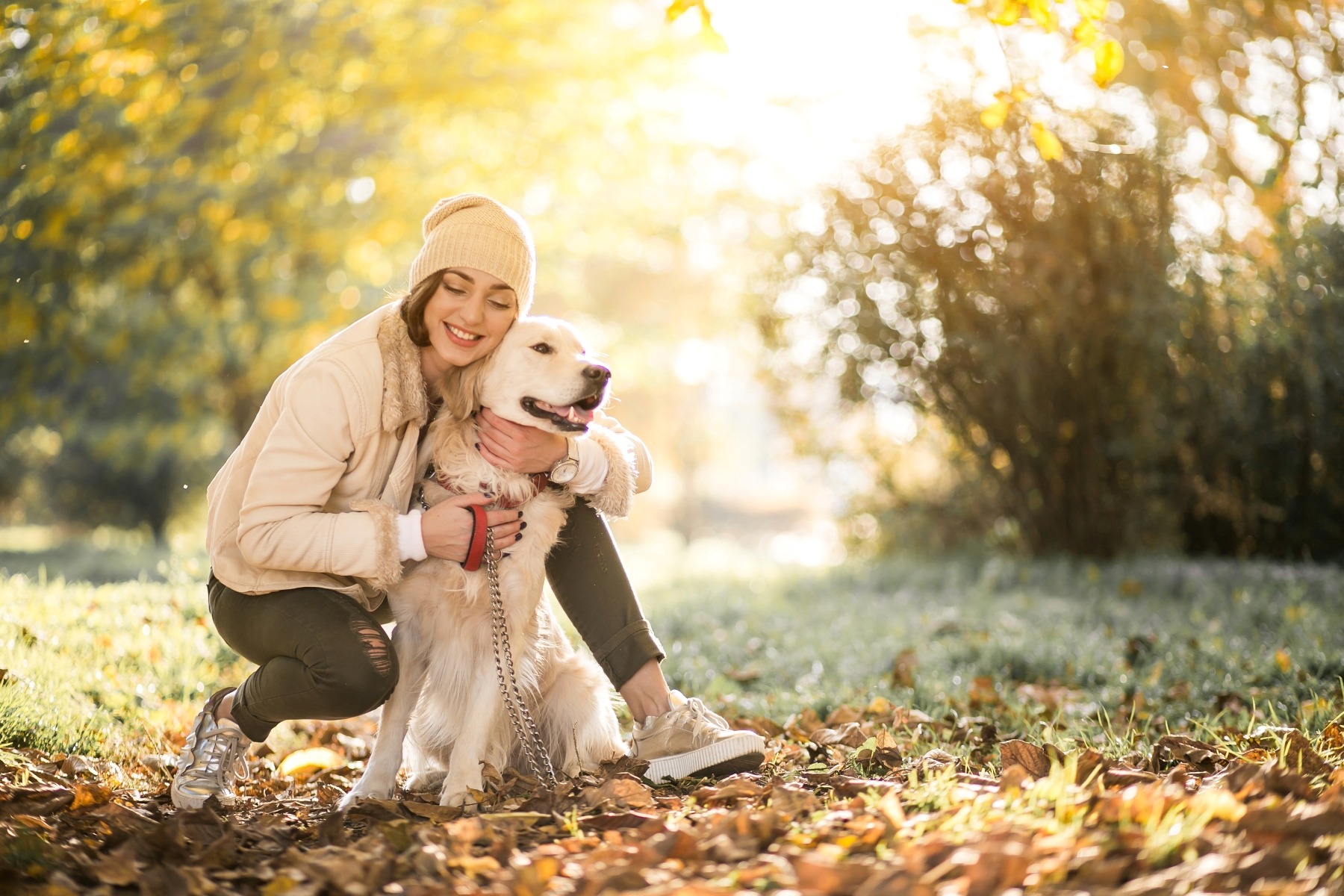 40 Instagram Captions For Dogs CaptionWala Caption Ideas