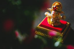 52 Ganesh Chaturthi Caption Wishes 2023 – Hindi & English With Hashtags!