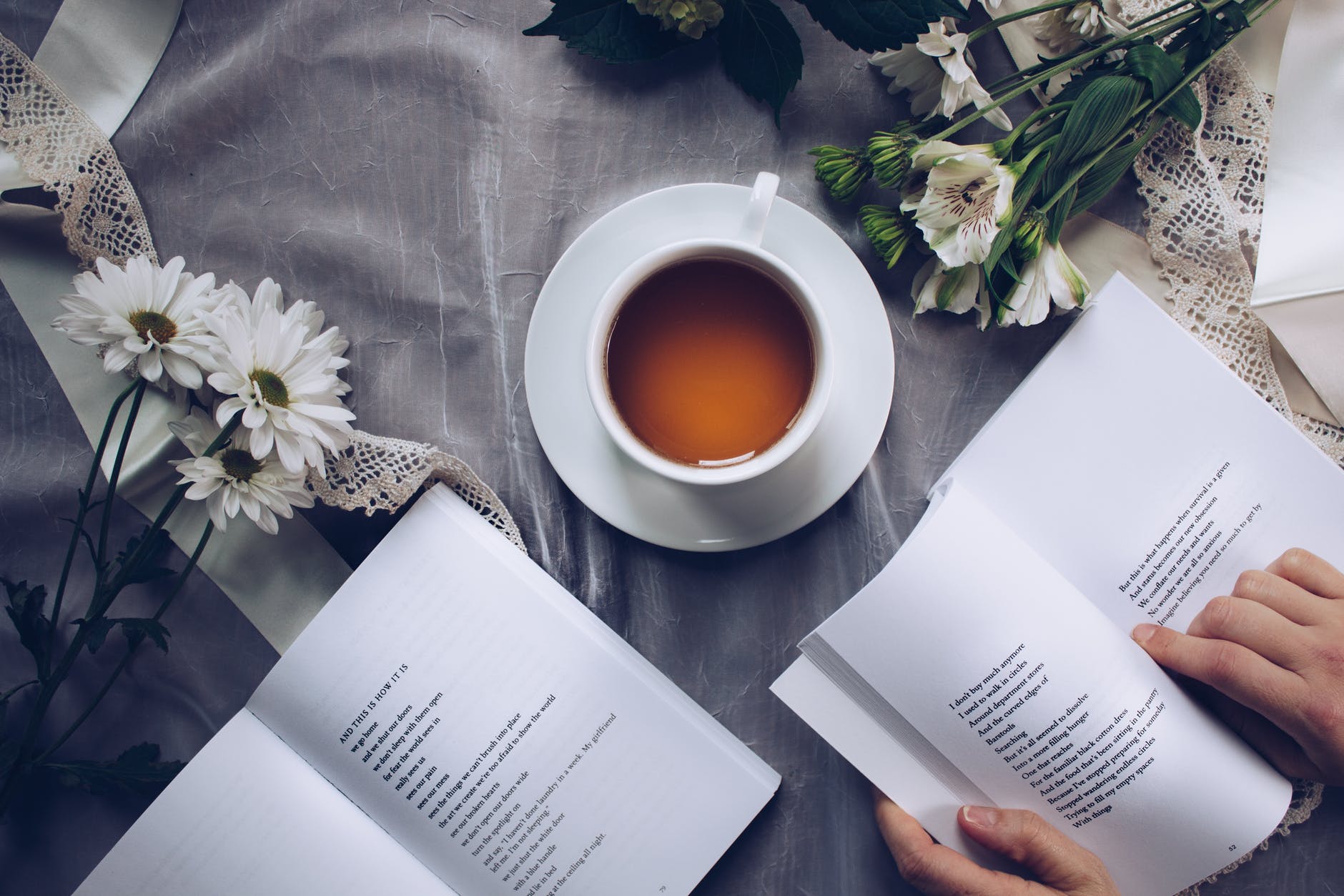 47 National Reading Day Captions For All The Avid Readers!