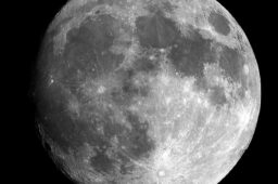 10 Poshi Poornima Captions for every brother/sister with hashtags!